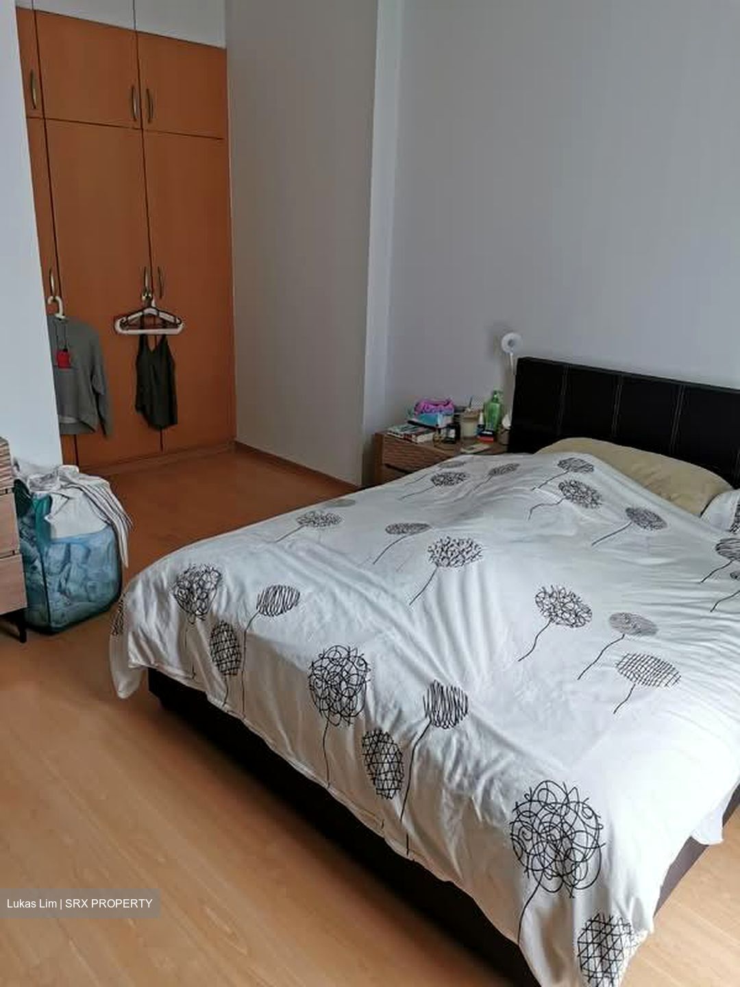 Gloucester Mansions (D11), Apartment #566086901